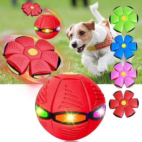 Pelota Disco para Mascotas™ - Blast Ball Disc 🐶